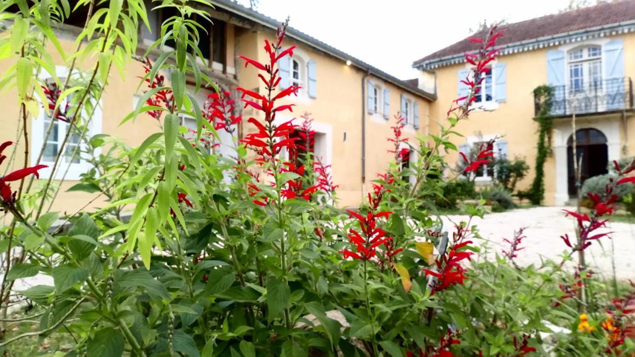 Clos du Gaja près de Jazz in Marciac Troncens Exterior foto